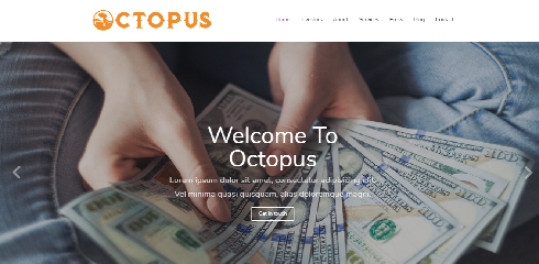 تطوير الويب 