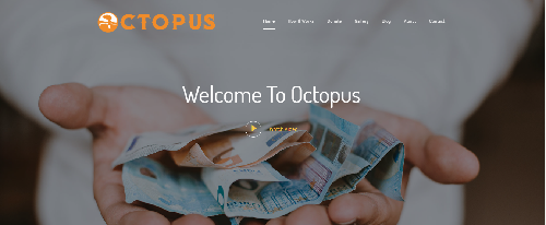 تطوير الويب 