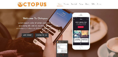 تطوير الويب 