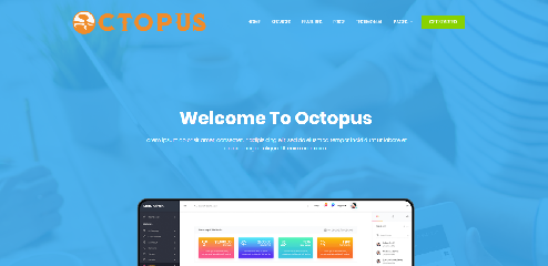 تطوير الويب 