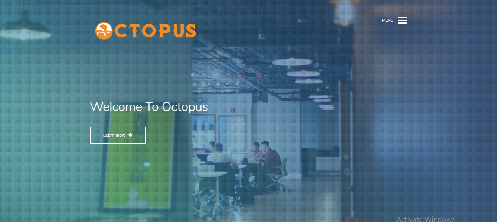 تطوير الويب 