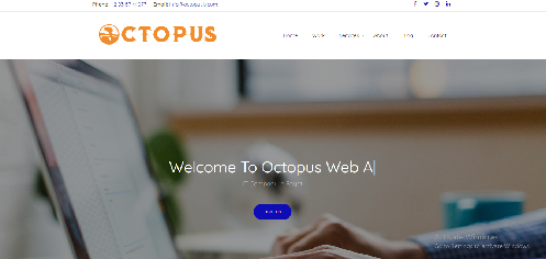 تطوير الويب 