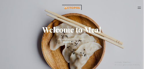 تطوير الويب 